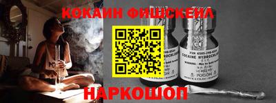 индика Кингисепп