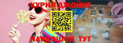 индика Кингисепп