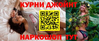 индика Кингисепп