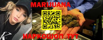 индика Кингисепп