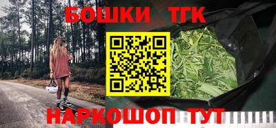 индика Кингисепп