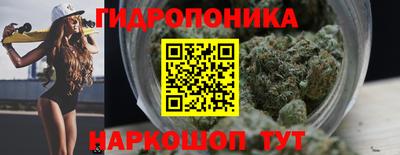 индика Кингисепп