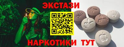 индика Кингисепп