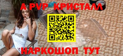 индика Кингисепп