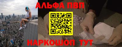индика Кингисепп