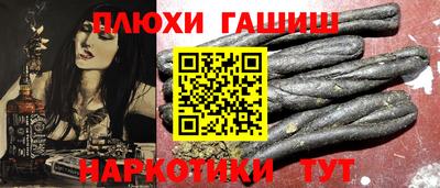 индика Кингисепп