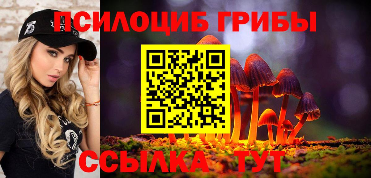 Галлюциногенные грибы MAGIC MUSHROOMS  где купить наркоту  Черногорск  Вход с VPN 