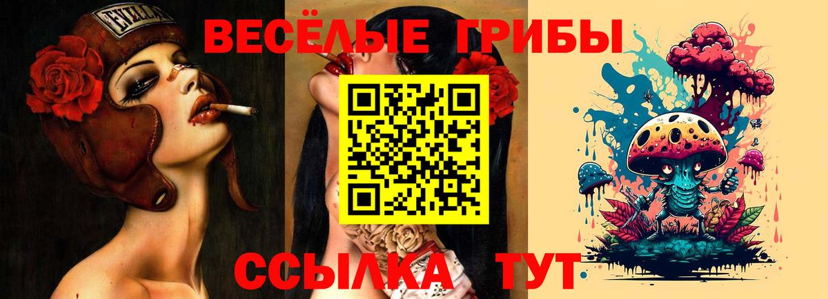 Псилоцибиновые грибы GOLDEN TEACHER Черногорск